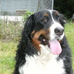 Meet your Posher, Joan